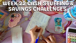 Week 22 Cash Stuffing Reset | Weekly Savings & Budget Update