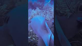 Nurse shark cruising the reef captured with the SeaLife SportDiver