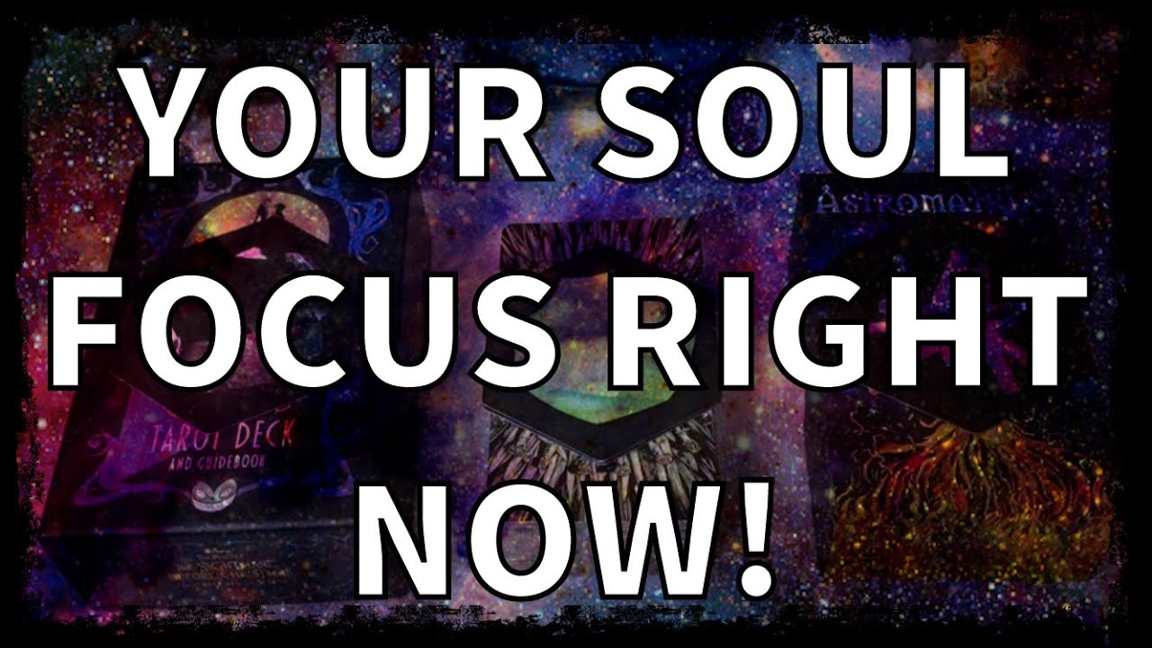 ✨🦉WHAT DOES YOUR SOUL WANT YOU TO FOCUS ON?🛏️🍅⛲️Timeless Pick A Card Tarot Readings