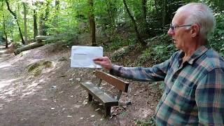 Brian Taylor The Denton Wood Man