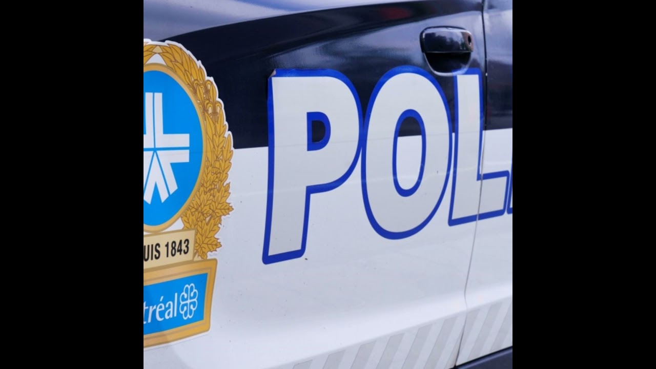 Montreal's crime rate has increased dramatically over the past 5 years