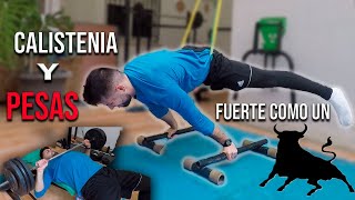 🔥Calistenia y Gym🔥NUNCA HE ESTADO TAN FUERTE 💪🏼 Y ES SOLO EL PRINCIPIO | CALISTENIA Y PESAS