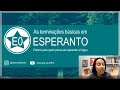 Petisco: Terminações Básicas| Esperanto do ZERO