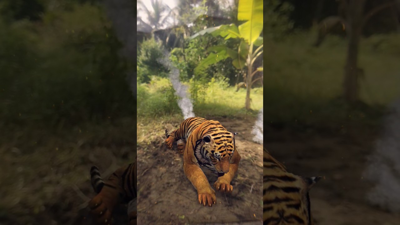 The tiger is sitting behind our house.