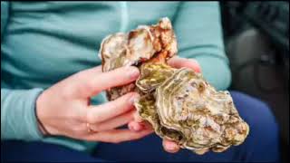 How Vertical Oyster Gardens Work