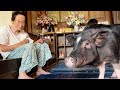 93才のひぃばあちゃんが食べないブタを理解した日
