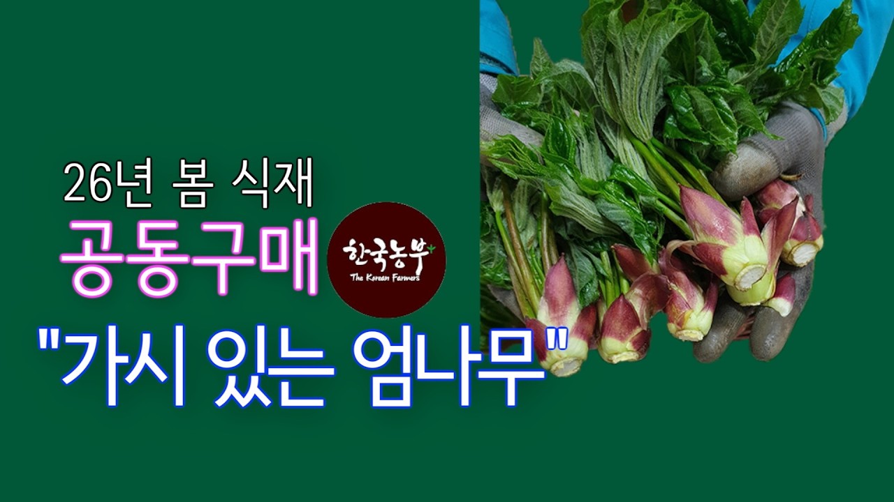 2026년 봄 가시엄나무  추가  공동구매