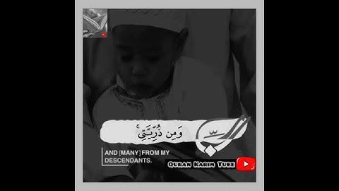 تلاوة خاشعة وآيات مباركة من سورة إبراهيم📚|القارئ أحمد النفيس|حالات واتس اب إسلامية💞