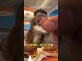 人気店でプロポーズした男性の結末