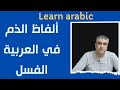 تعلم ألفاظ الذم بالعربية كلمة الفسل معناها وكيف تستعمل في العربية Learn Arabic 