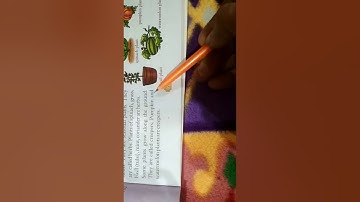 Class 1 EVS Chapter 16 - World of Plants