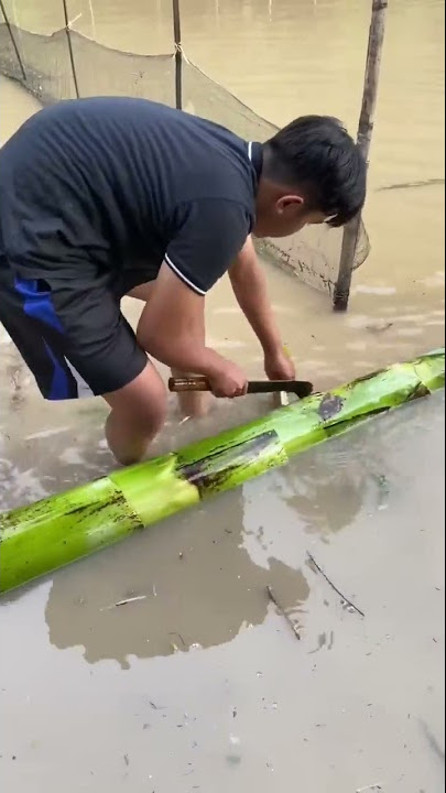 Flood flood make a boat from banana tree #ship #boat #flood #rain #tutorial