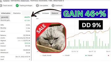 Hunting Cat Scalper 3.0 +Sets MT4 EA No DLL