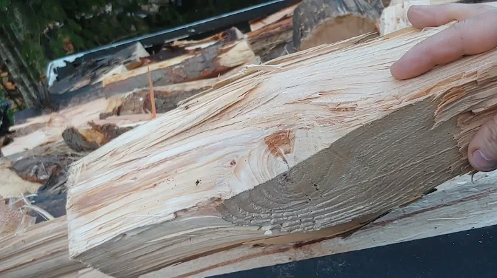 Box Store (Champion) Log Splitter Getting Firewood...