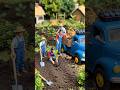 Mini Blueberry Farming 🔵 | Satisfying Harvest &amp; Emotional Ending ❤️ | Tiny Farm Story #shorts