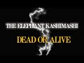 2390回 エレファントカシマシ アルバム語り 「DEAD OR ALIVE」