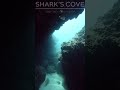 crease #scubadiving #scubalife #underwater #scubaaddict #travel #scuba #hawaii
