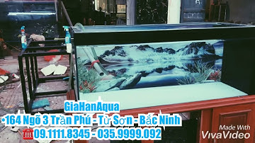 GiaHanAqua (Nâng cấp bể công nghệ cũ có đường ống , sang bể công nghệ mới nhất