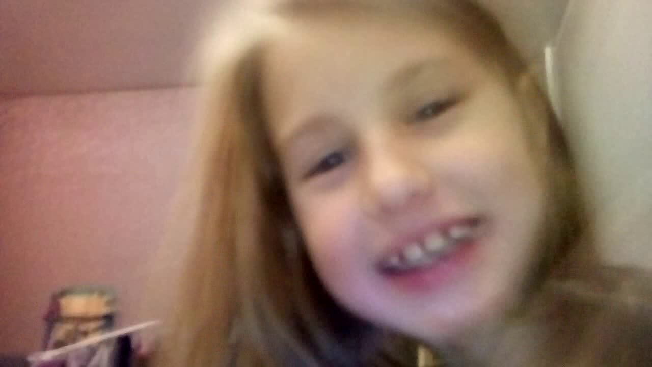 Hundezahnpasta Liladent main image 0
