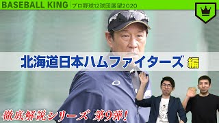 北海道日本ハムファイターズを展望！【2020シーズン】