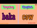 Animal Names in Tagalog with English Translation