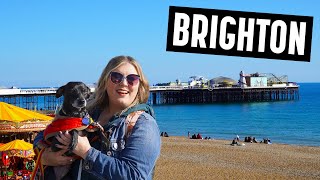 The PERFECT Day in Brighton - Can