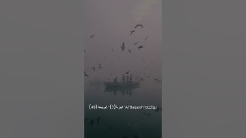ربنا ولا تحملنا مالا طاقة لنا به واعف عنا وارحمنا - سورة البقرة - عبد الباسط🎤💝#القران_الكريم #فلسطين