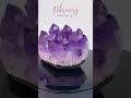 February Amethyst Crystal Rotation ASMR 💜 #asmr #birthstone
