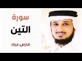 سورة التين فارس عباد 