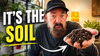Why Your Plant Isn’t Growing (It’s Not What You Think)
