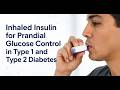 Inhaled Insulin: Faster Mealtime Control or Pulmonary Risk?