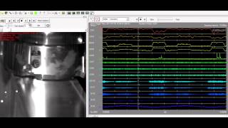 High speed camera with synchronous data acquisition