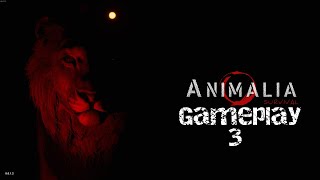 Animalia - Testing and Gameplay 3