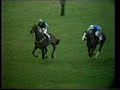 1974 sandown handicap pattern chase