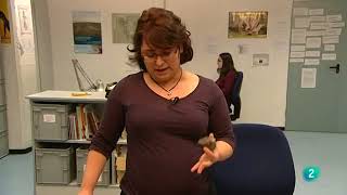 Mina neolítica de Casa Montero (Vicálvaro, Madrid)