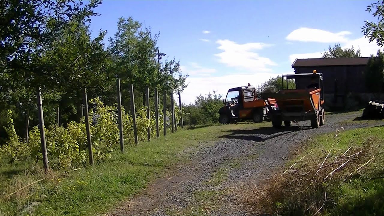 AGIANTZA - REAS Euskadi