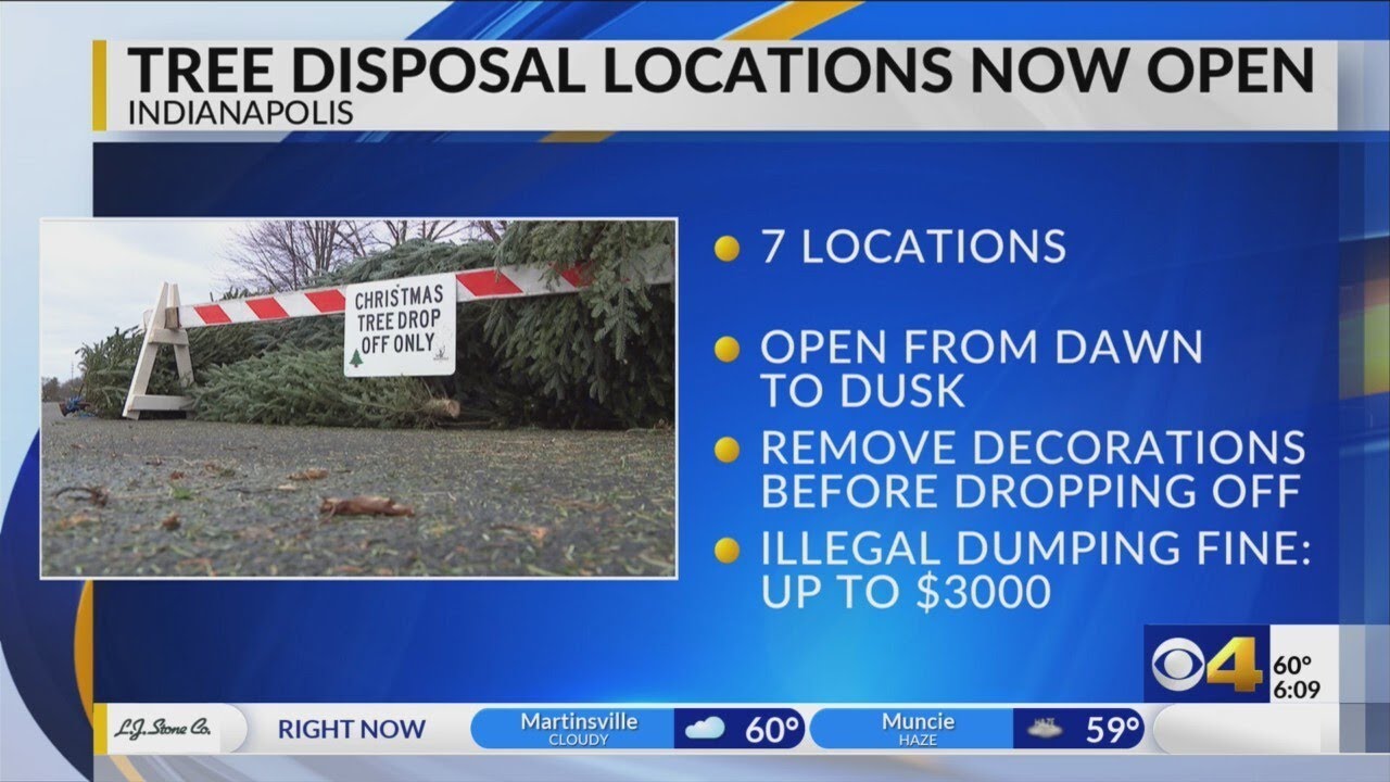 Christmas tree disposal sites open across Indianapolis