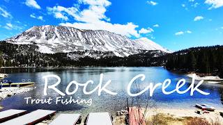 Rock Creek Eastern Sierra eBike Trout Fishing
