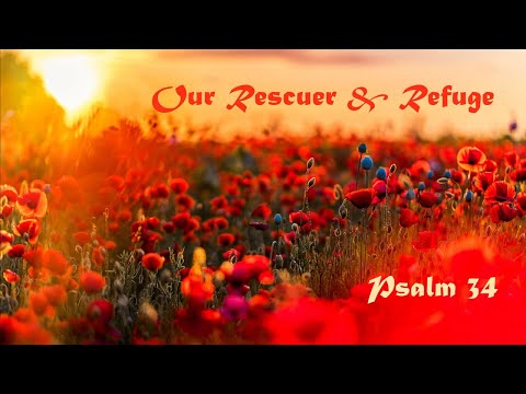 Our Rescuer & Refuge: Psalm 34