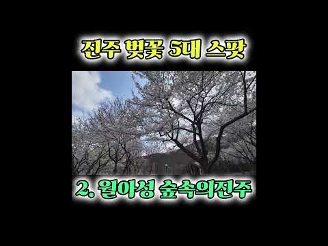 진주벚꽃 / 벚꽃명소 / 연암도서관 / 질매재 / 숲속의진주 / 월아성 / 진주맛집 / 진주다찌 / 선진리성 / 벚꽃길