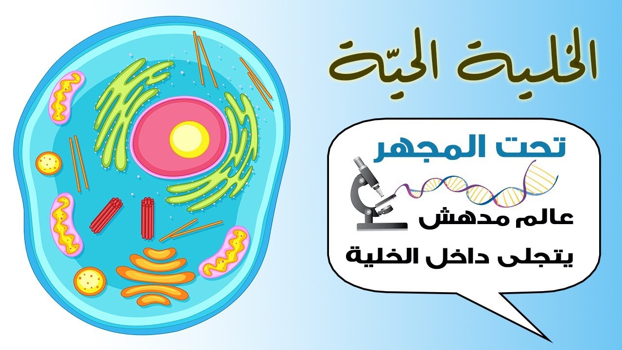 عالم الخلية! مكوناتها ووظائفها!