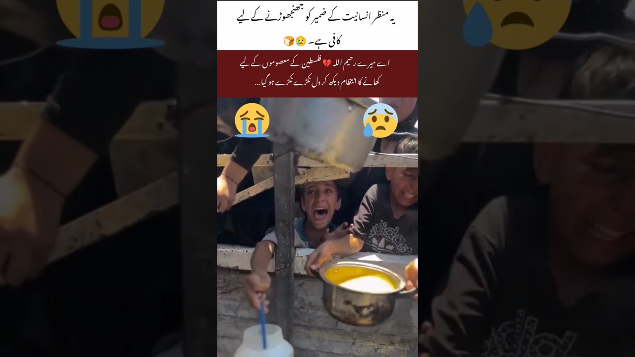 Kindness for Palestine 🌍✨