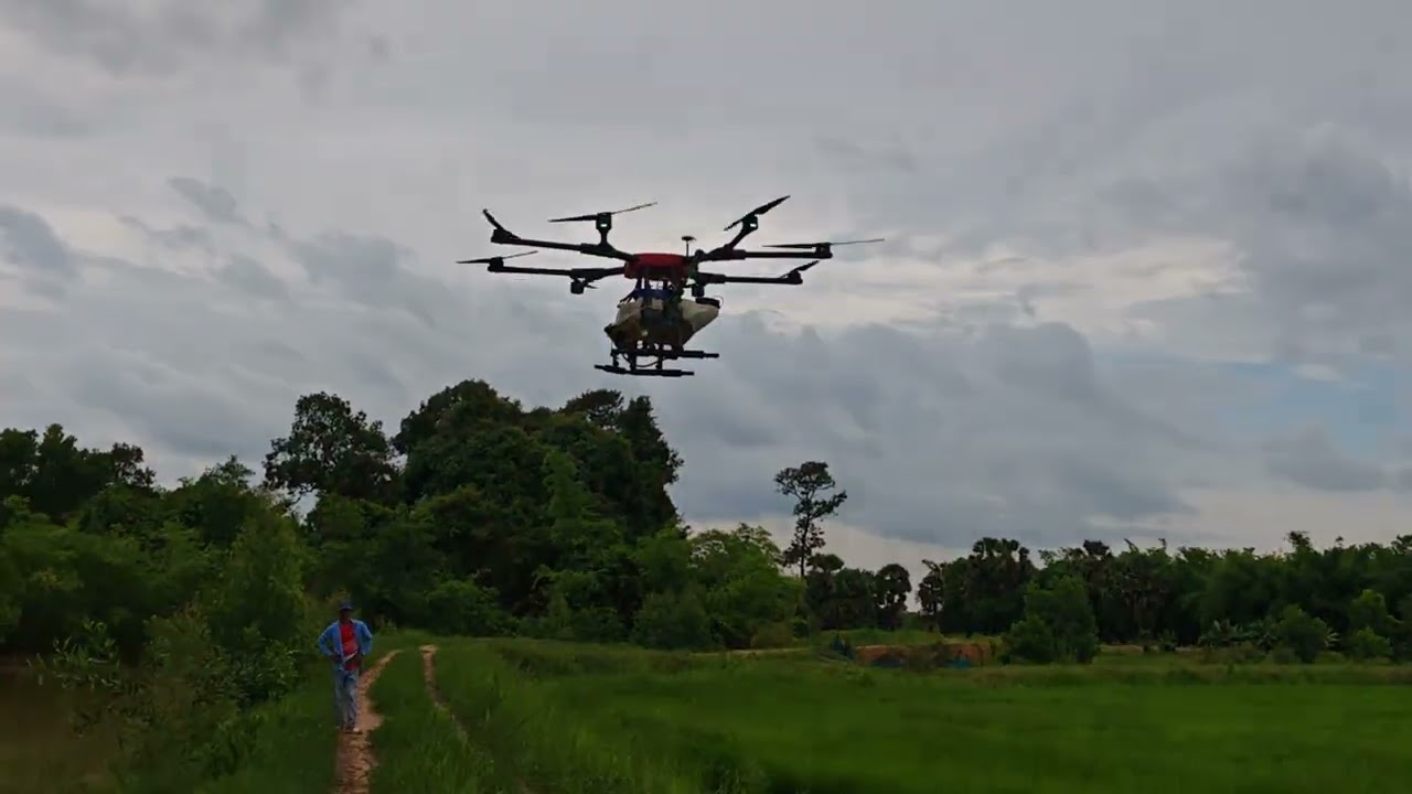 Apply fertilizer to the rice crop using an agricultural drone - ដាក់ជីស្រូវដោយប្រើប្រាស់ដ្រូនកសិកម្ម