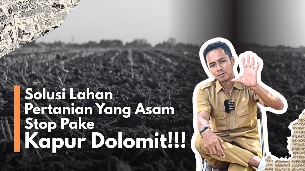Selama Ini Kita Salah? Ini Solusi Tanpa Dolomit untuk Lahan Asam