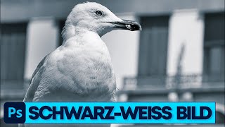 Photoshop Tutorial: Auf 6 Wegen zum Schwarz-Weiß Bild screenshot 4