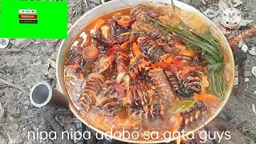 luto kmi guys nipa nipa adobo sa gata yummy guys