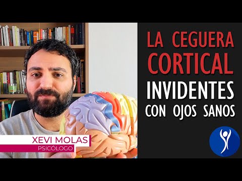 Video: ¿Se puede tener discapacidad visual cortical?