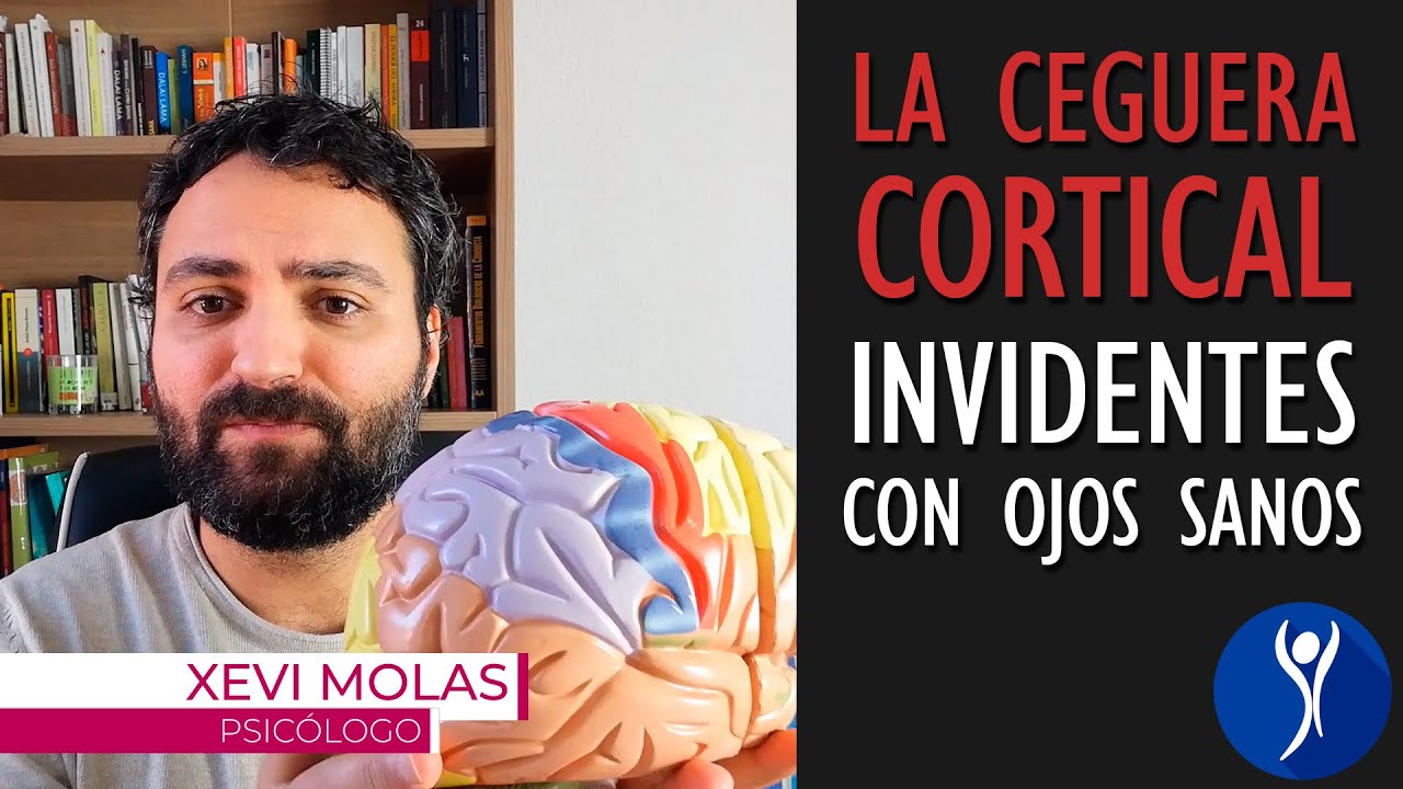La ceguera cortical. Cuando nuestros ojos sanos no nos permiten ver