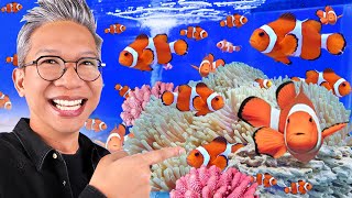 SO MANY NEMO FISH HERE!!