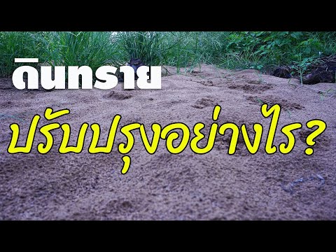 วีดีโอ: ทำไมจึงใช้ทรายสำหรับพืชสวน – ทรายสำหรับพืชสวนแตกต่างกันอย่างไรสำหรับพืช